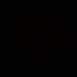 Meet your Posher, Evelyn